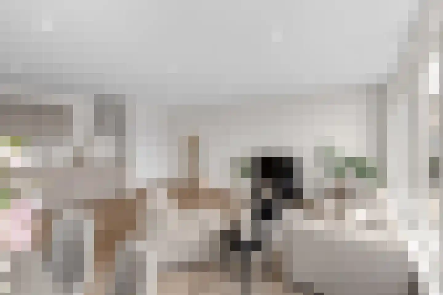 Antwerpsestraat 90 Putte thumbnail 5