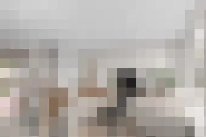 Antwerpsestraat 90 Putte thumbnail 5