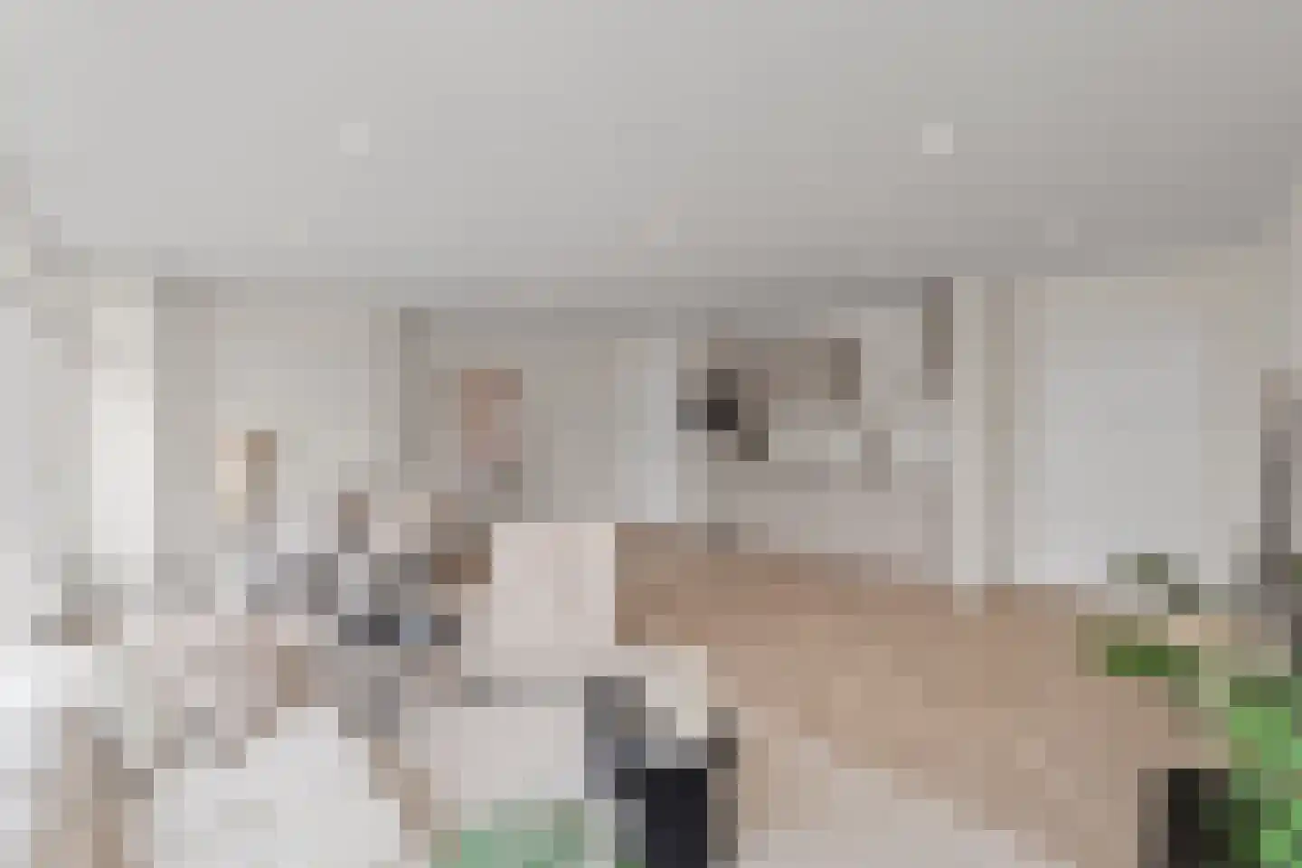 Antwerpsestraat 90 Putte thumbnail 6