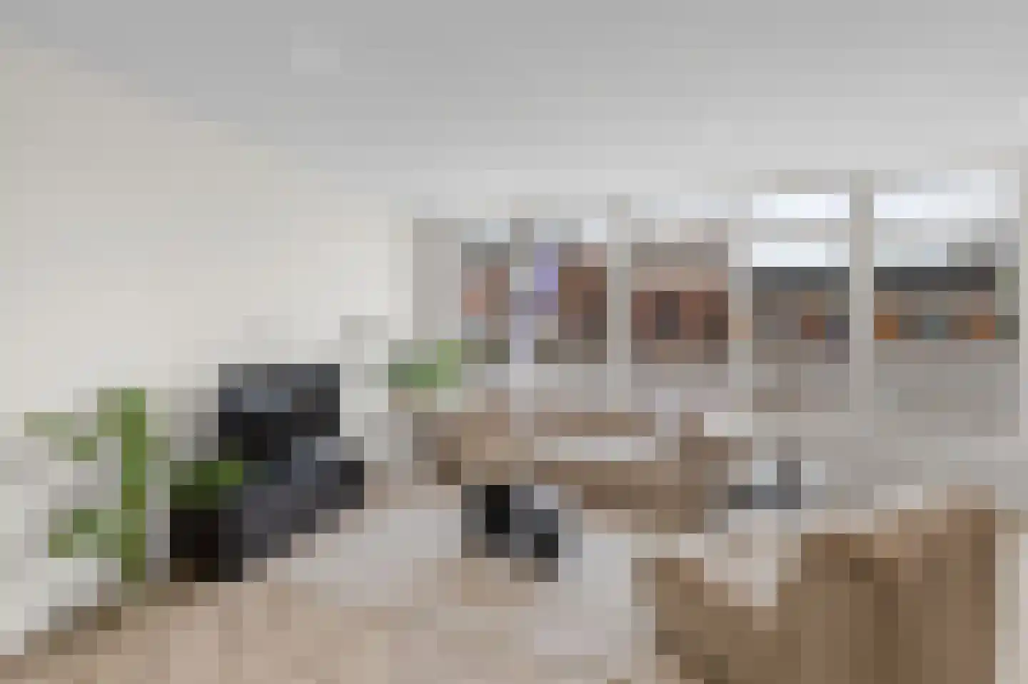 Antwerpsestraat 90 Putte thumbnail 8