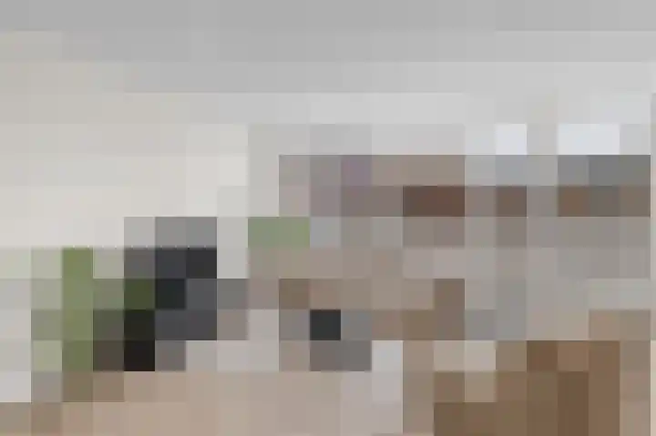 Antwerpsestraat 90 Putte thumbnail 8