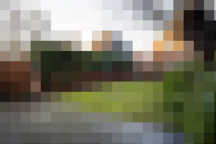 Antwerpsestraatweg 10 Hoogerheide thumbnail 48