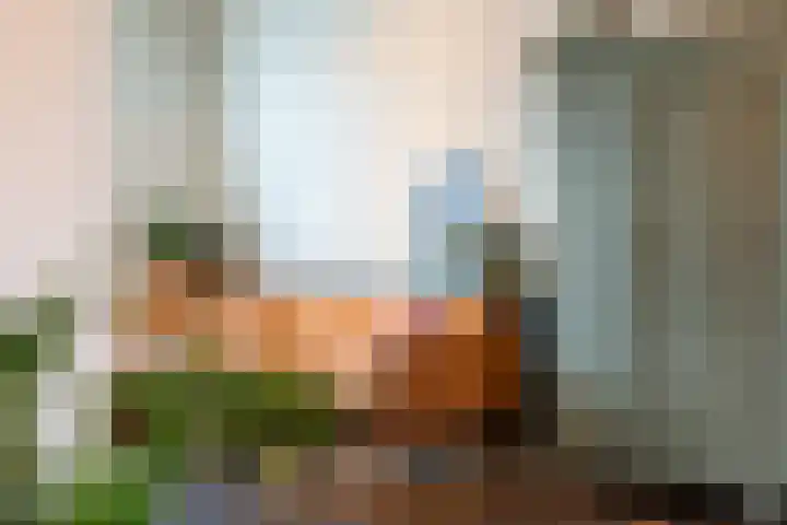 Antwerpsestraatweg 10 Hoogerheide thumbnail 9
