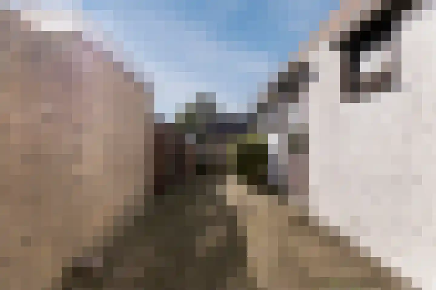 Antwerpsestraatweg 190 Bergen op Zoom thumbnail 31