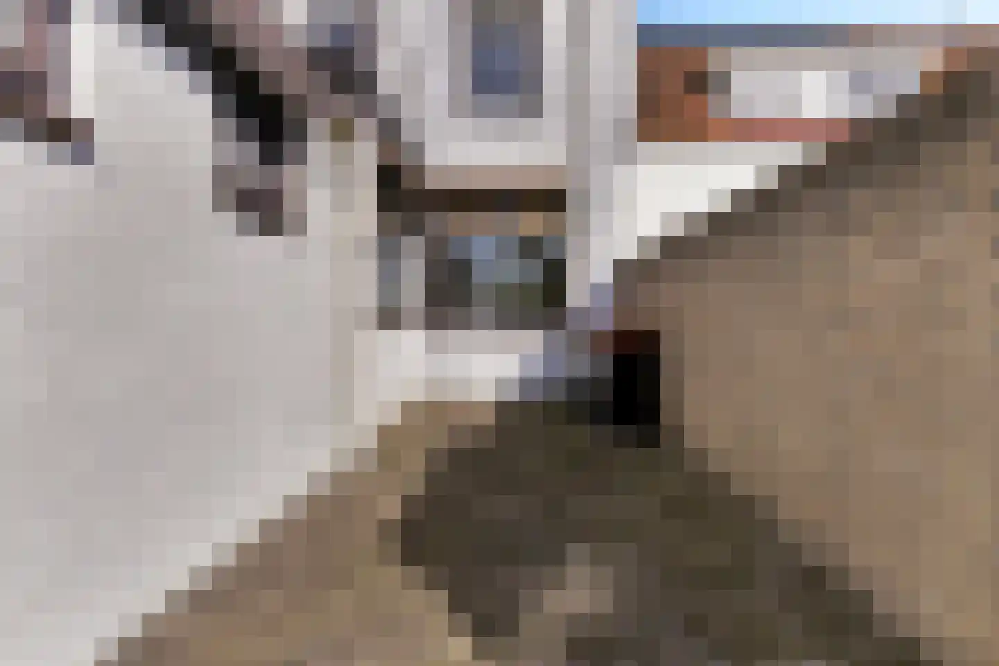 Antwerpsestraatweg 190 Bergen op Zoom thumbnail 32