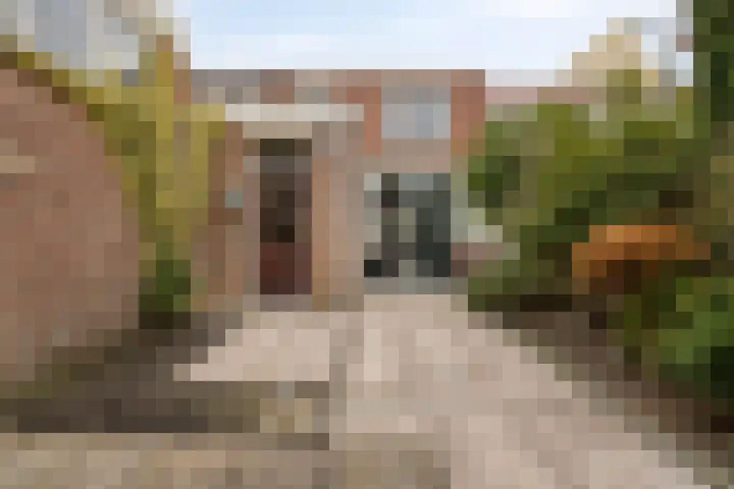 Antwerpsestraatweg 203 Bergen op Zoom thumbnail 28