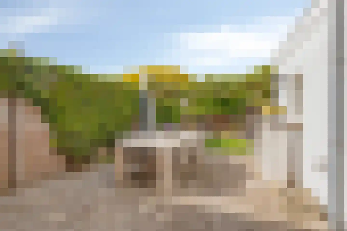 Antwerpsestraatweg 214 Bergen op Zoom thumbnail 29