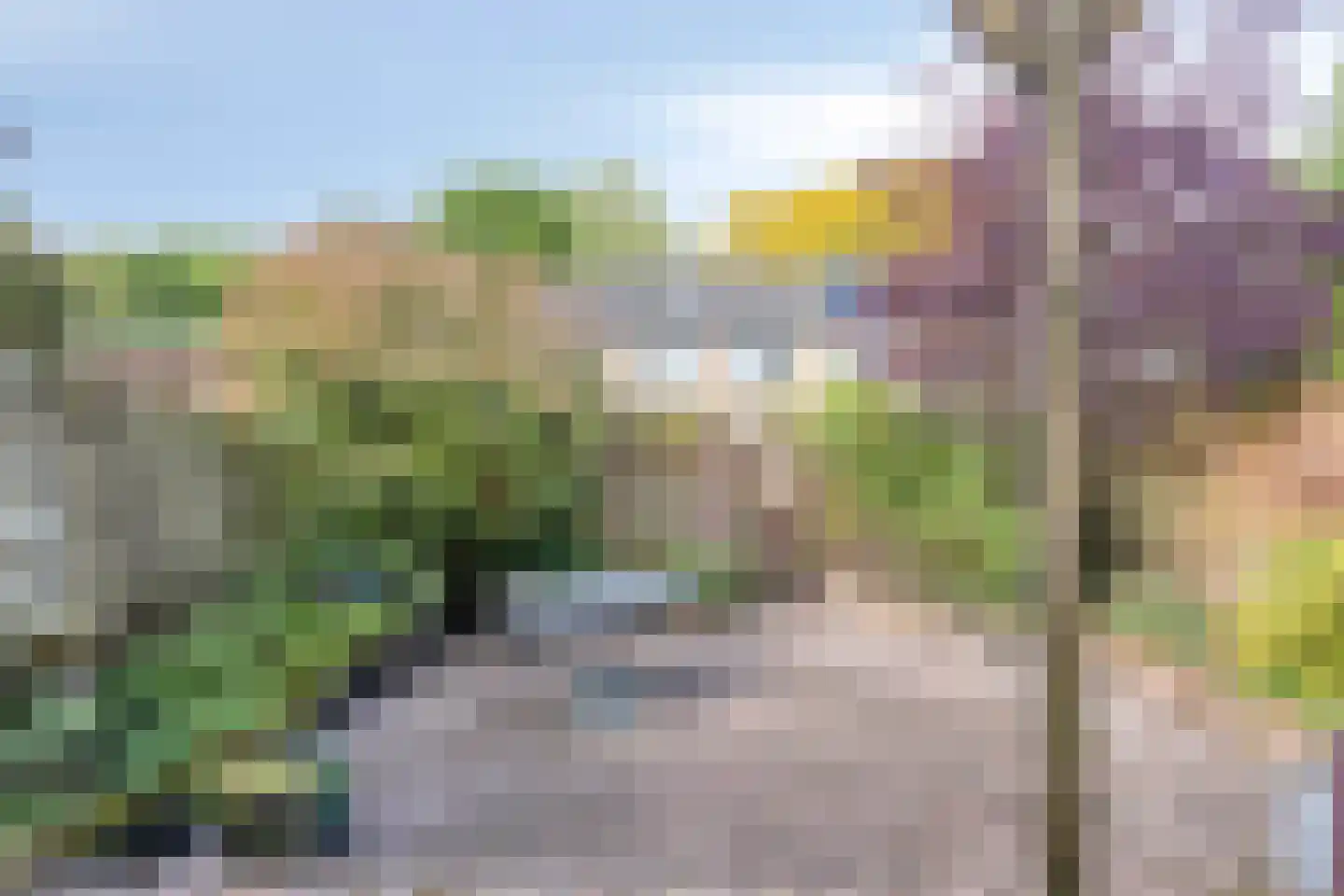 Antwerpsestraatweg 234 Bergen op Zoom thumbnail 46