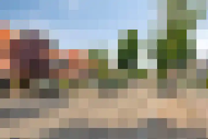 Antwerpsestraatweg 236 Bergen op Zoom thumbnail 49
