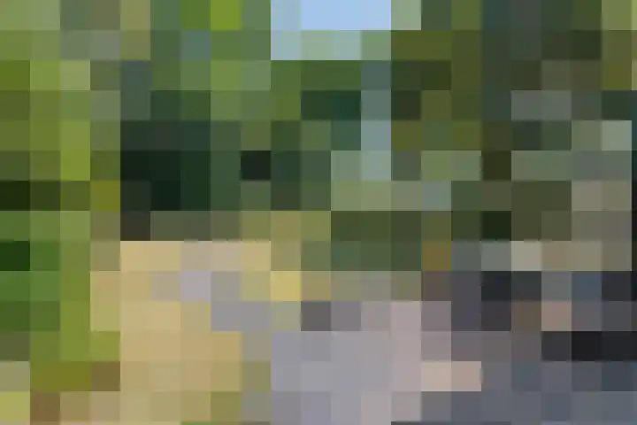 Antwerpsestraatweg 24 Hoogerheide thumbnail 32