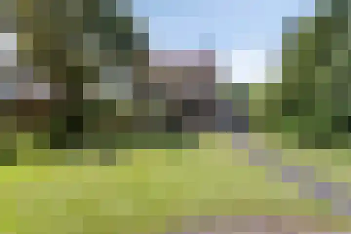 Antwerpsestraatweg 24 Hoogerheide thumbnail 4