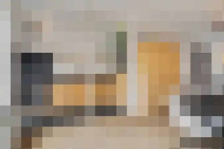 Antwerpsestraatweg 248 Bergen op Zoom thumbnail 14