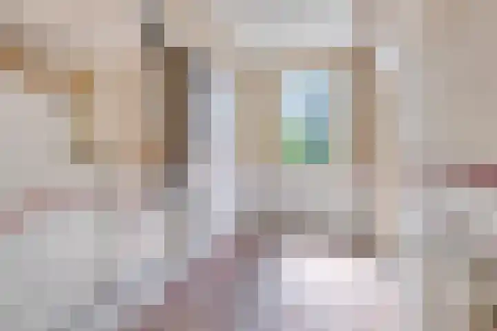 Antwerpsestraatweg 268 Bergen op Zoom thumbnail 16