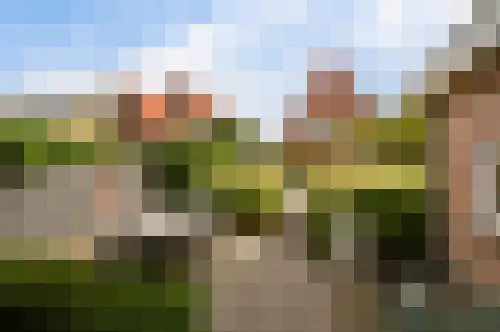 Antwerpsestraatweg 364 Bergen op Zoom thumbnail 26