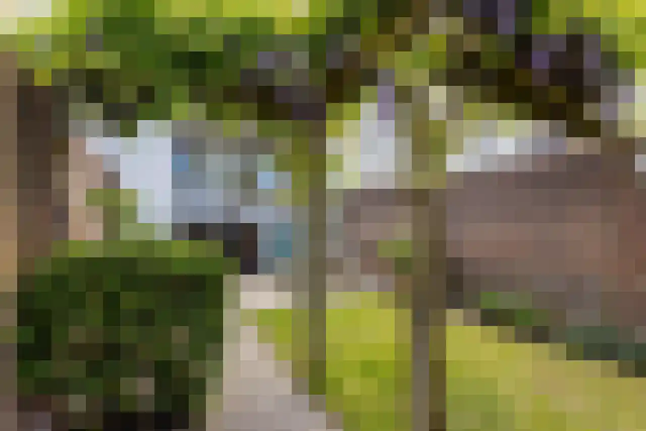 Antwerpsestraatweg 436 Bergen op Zoom thumbnail 37