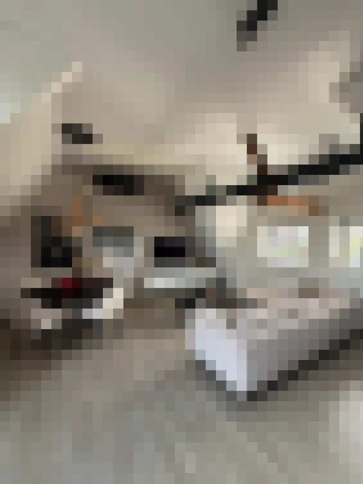 Antwerpsestraatweg in Hoogerheide