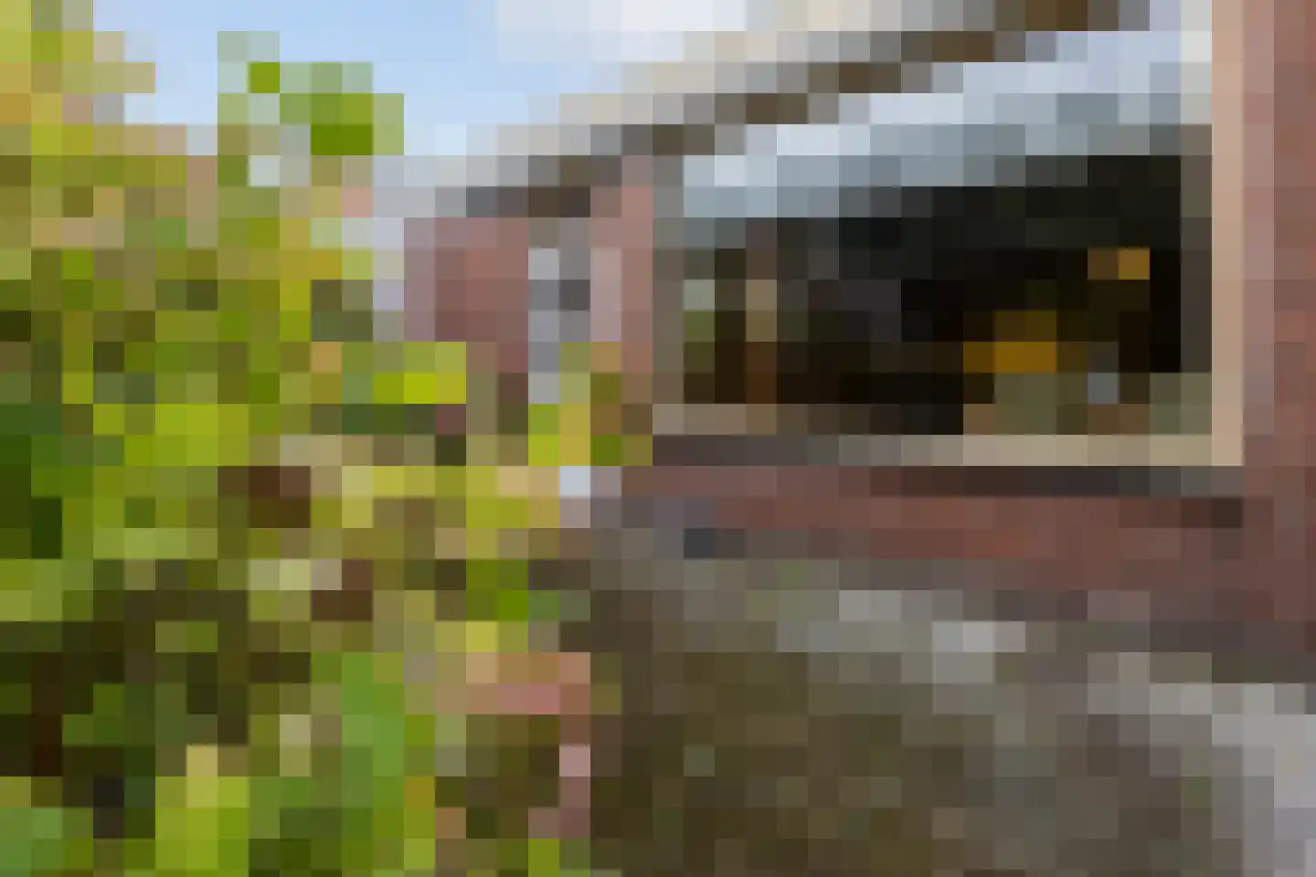 Antwerpsestraatweg 468 Bergen op Zoom thumbnail 26
