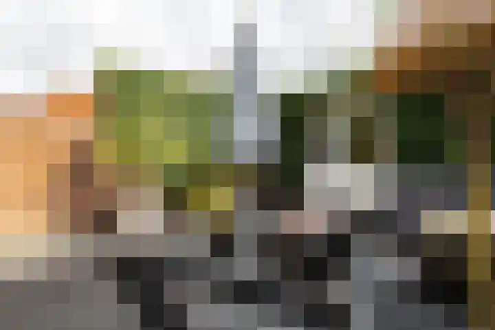 Antwerpsestraatweg 69 Bergen op Zoom thumbnail 33
