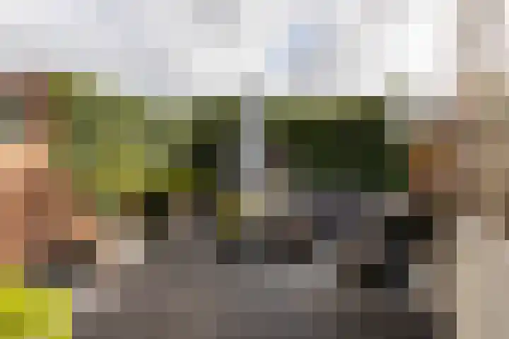 Antwerpsestraatweg 69 Bergen op Zoom thumbnail 4