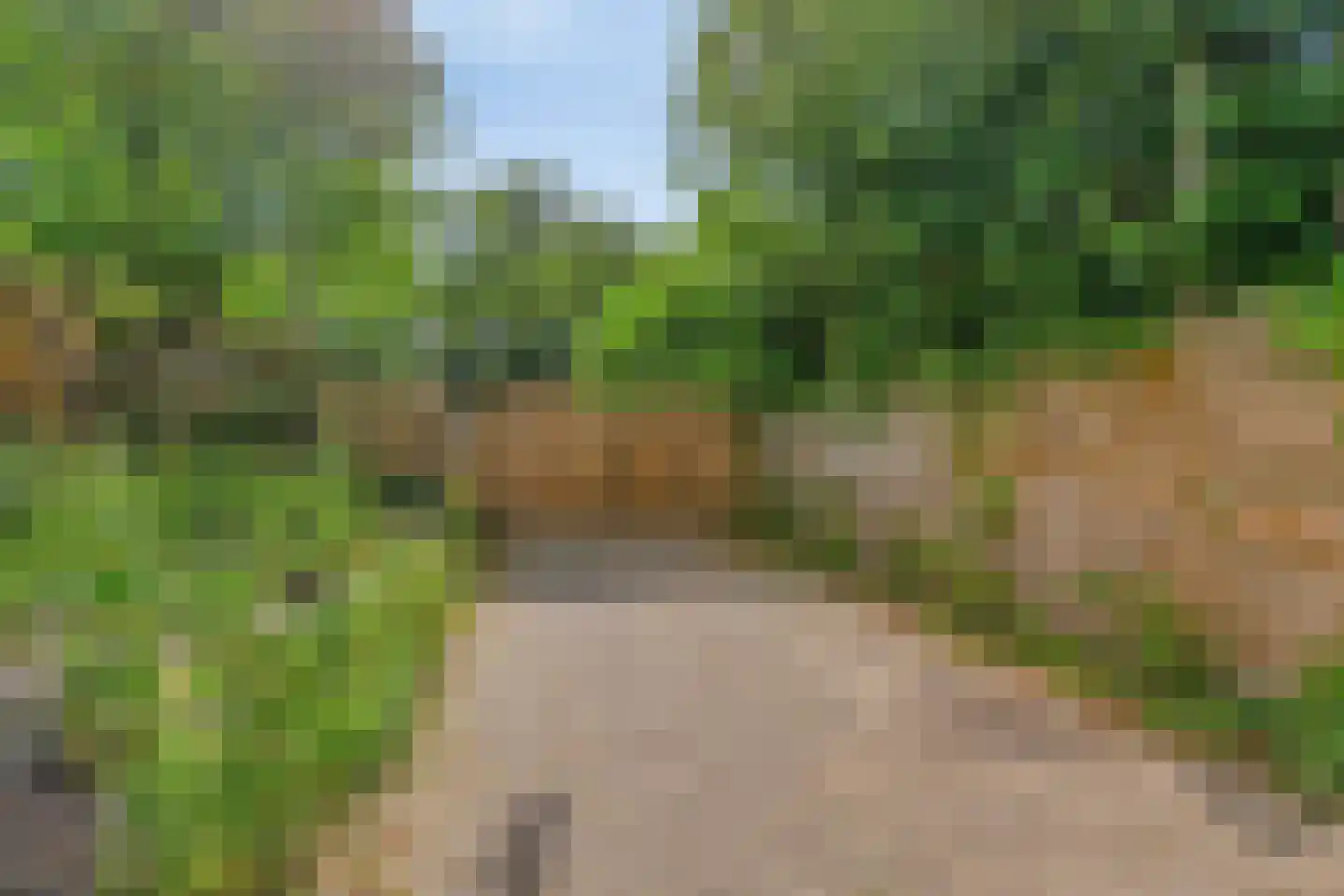 Antwerpsestraatweg 80 Hoogerheide thumbnail 4