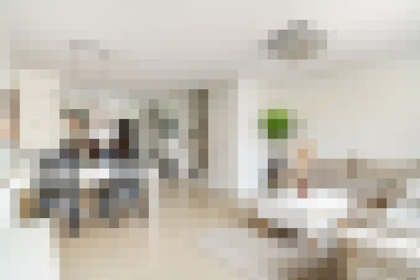 Anubisplantsoen 15 Almere thumbnail 17