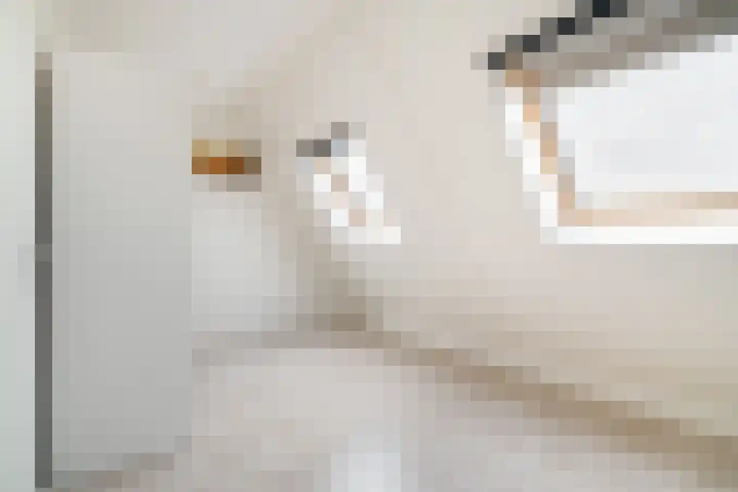 Anubisplantsoen 15 Almere thumbnail 36