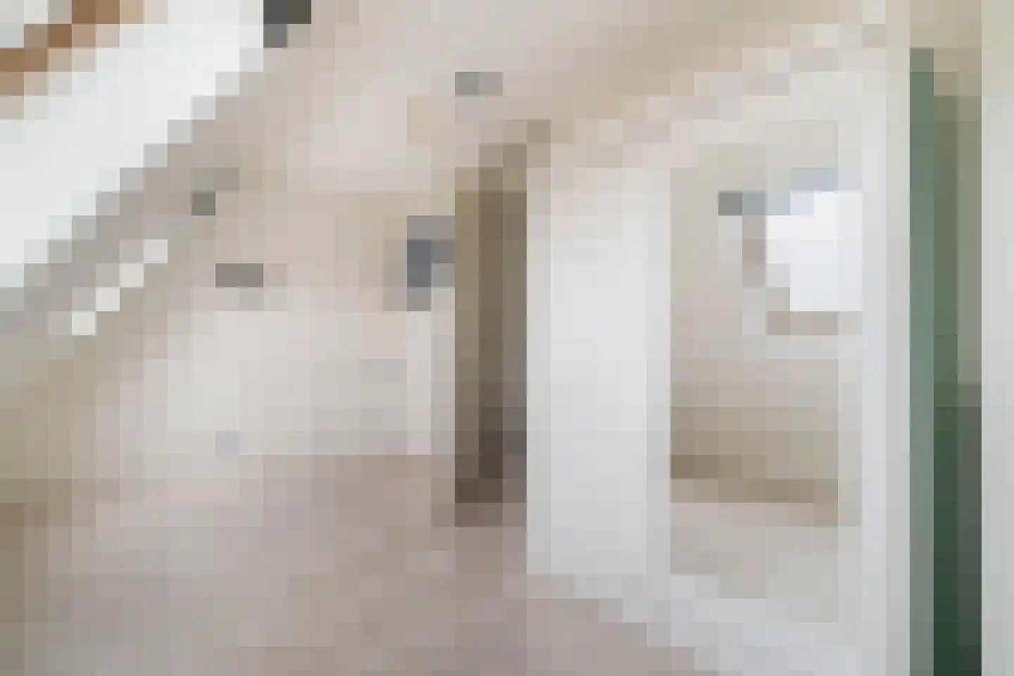 Anubisplantsoen 15 Almere thumbnail 37