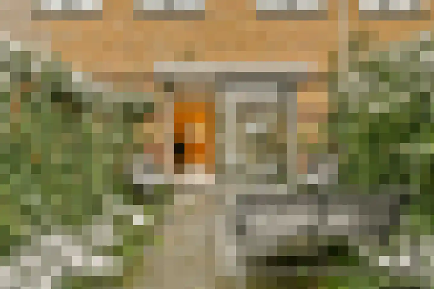 Anubisstraat 102 Almere thumbnail 5