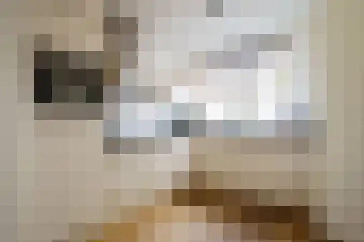 Anubisstraat 12 Almere thumbnail 9
