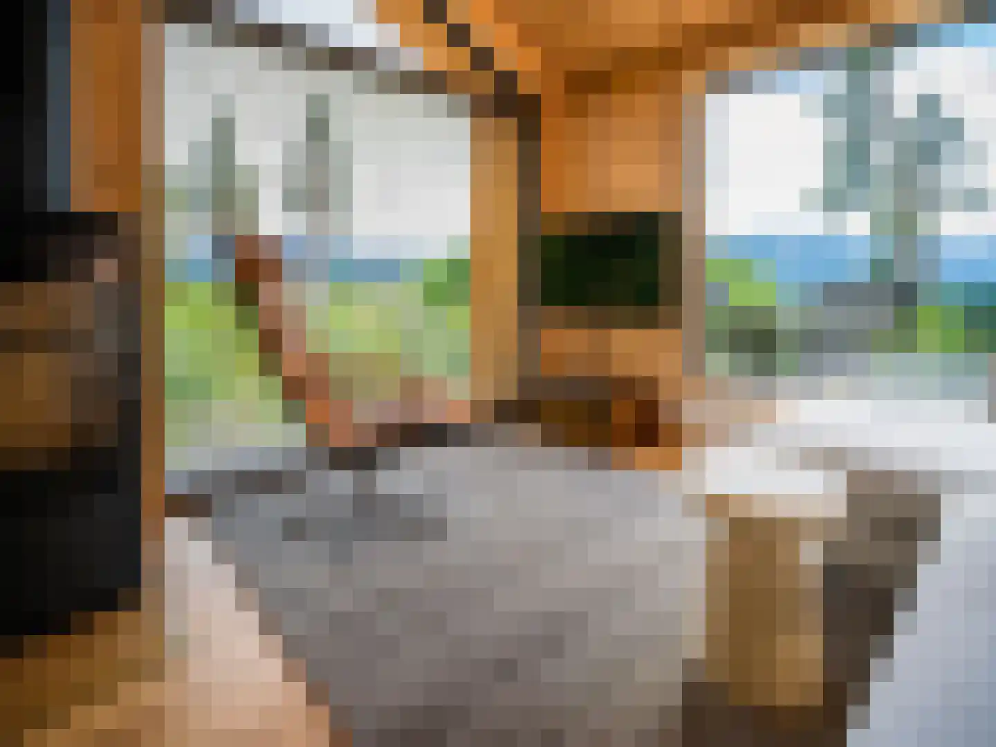 Ånundsbuoddane 97 Treungen, Noorwegen thumbnail 10