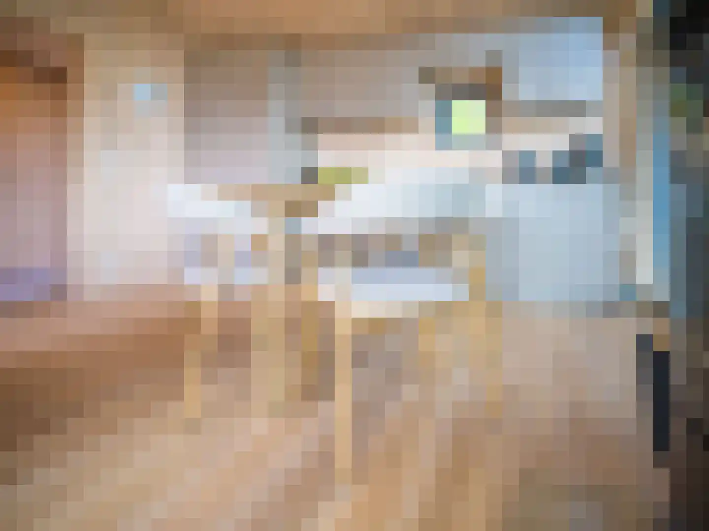 Ånundsbuoddane 97 Treungen, Noorwegen thumbnail 11