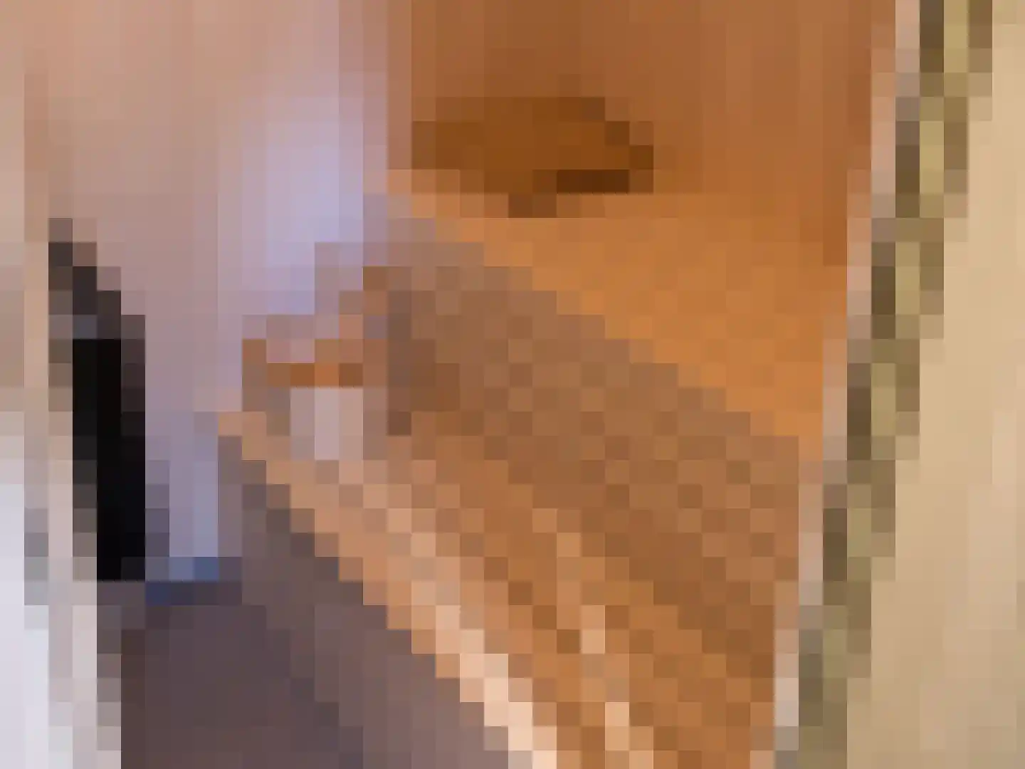 Ånundsbuoddane 97 Treungen, Noorwegen thumbnail 17
