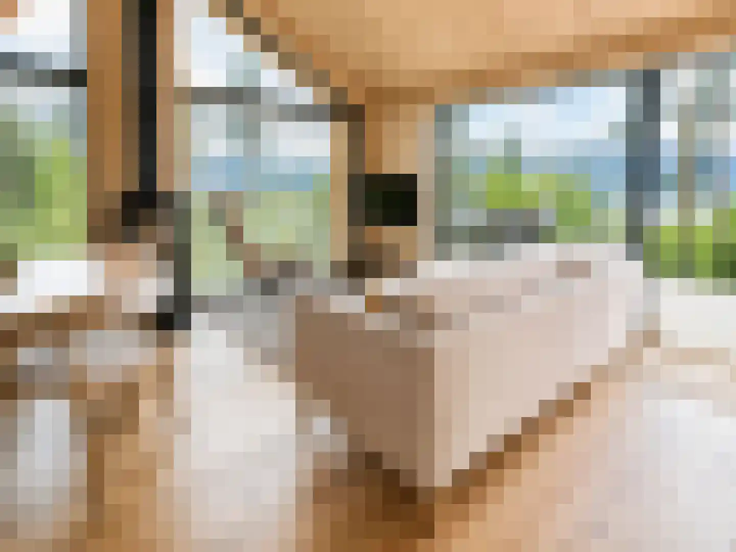 Ånundsbuoddane 97 Treungen, Noorwegen thumbnail 9