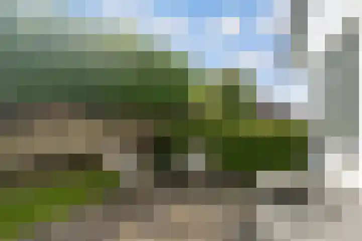 Anzarstraat 16 Almere thumbnail 47