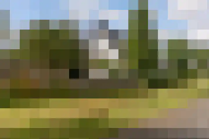 Anzarstraat 16 Almere thumbnail 85
