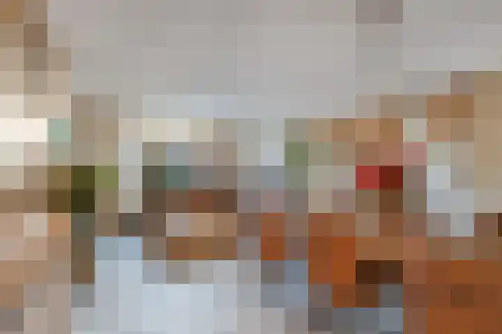 Anzere 9 Capelle aan den IJssel thumbnail 10