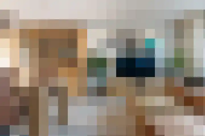 Anzere 9 Capelle aan den IJssel thumbnail 11
