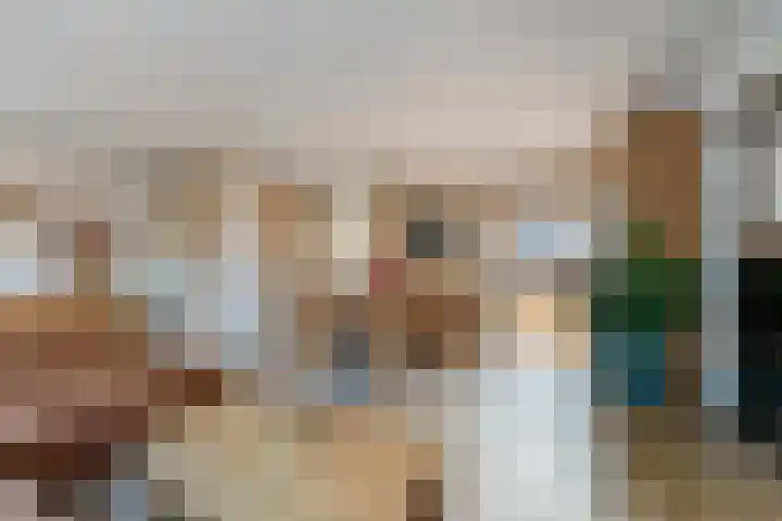 Anzere 9 Capelle aan den IJssel thumbnail 12