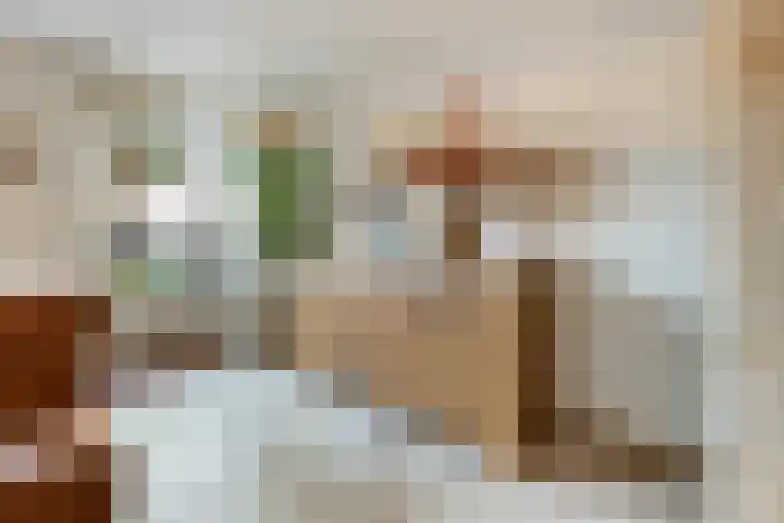 Anzere 9 Capelle aan den IJssel thumbnail 15