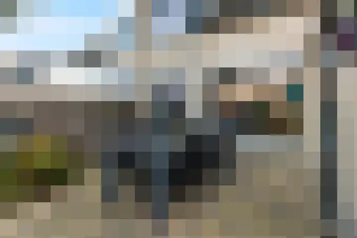 Anzere 9 Capelle aan den IJssel thumbnail 17