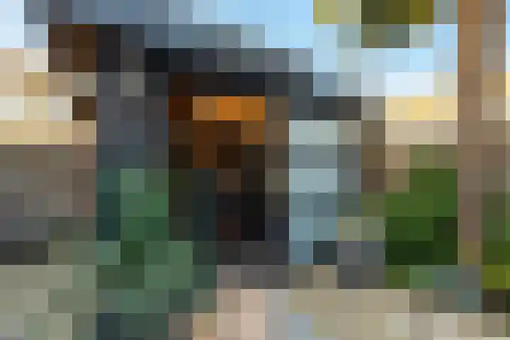 Anzere 9 Capelle aan den IJssel thumbnail 22