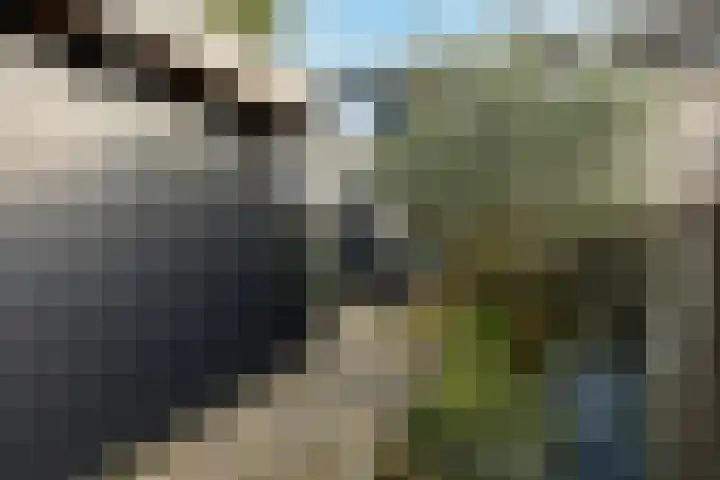 Anzere 9 Capelle aan den IJssel thumbnail 23