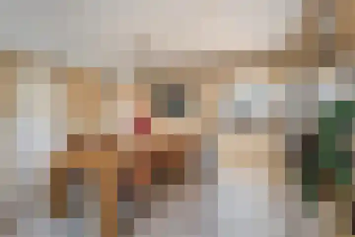 Anzere 9 Capelle aan den IJssel thumbnail 24