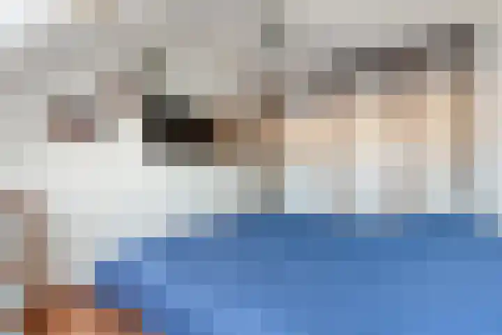 Anzere 9 Capelle aan den IJssel thumbnail 32