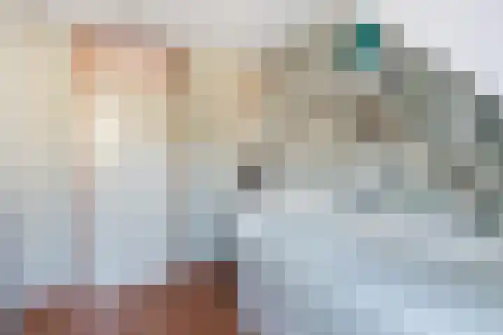 Anzere 9 Capelle aan den IJssel thumbnail 33