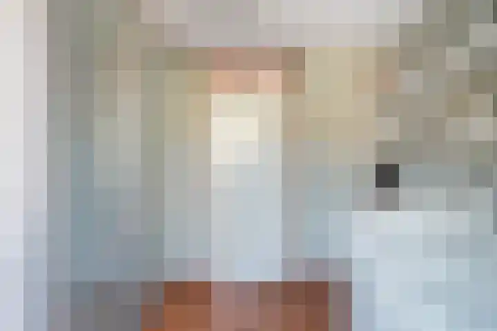 Anzere 9 Capelle aan den IJssel thumbnail 34