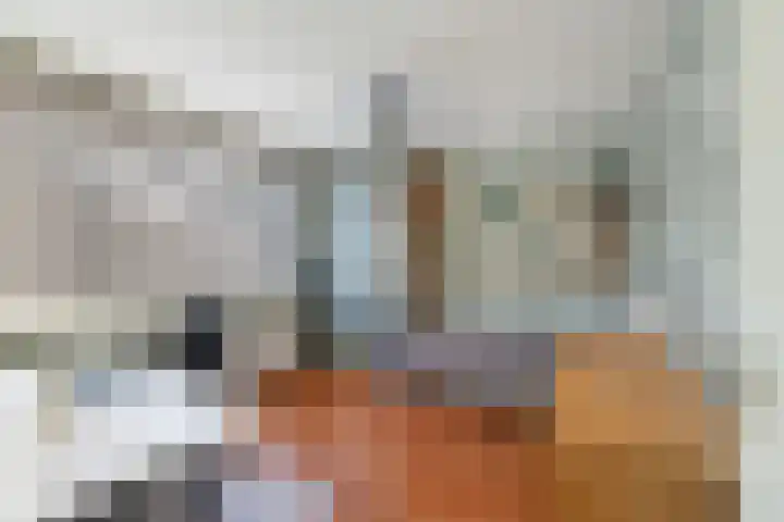 Anzere 9 Capelle aan den IJssel thumbnail 35