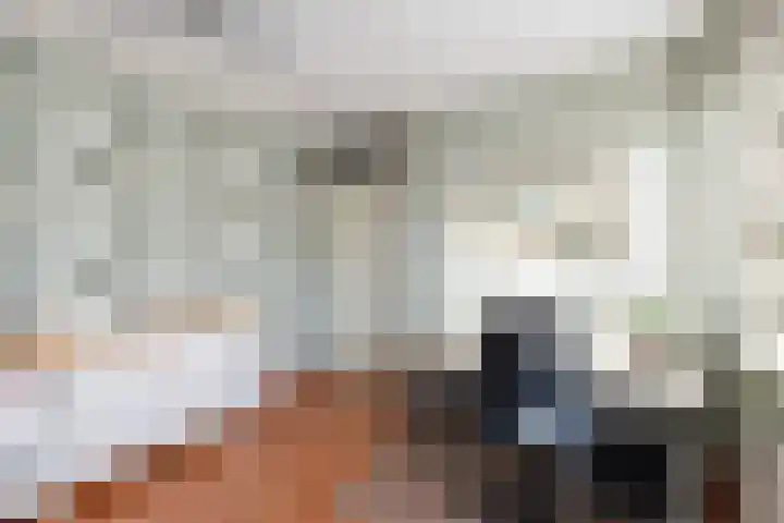 Anzere 9 Capelle aan den IJssel thumbnail 36