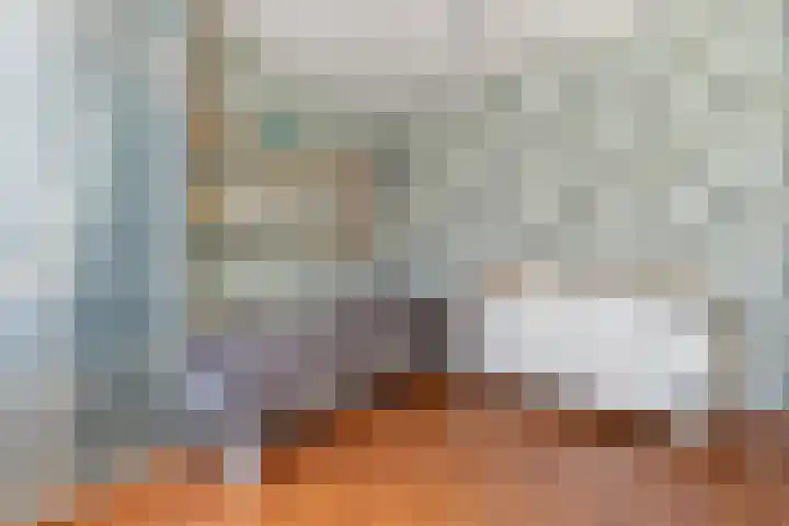 Anzere 9 Capelle aan den IJssel thumbnail 37