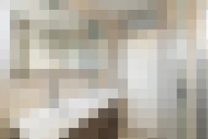 Anzere 9 Capelle aan den IJssel thumbnail 38